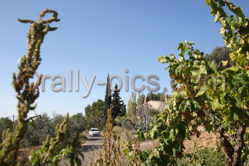 RC08_0073_wm.jpg